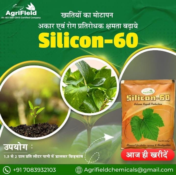 The original Silicon-60 advertisement before the redesign, cluttered layout and clashing colors